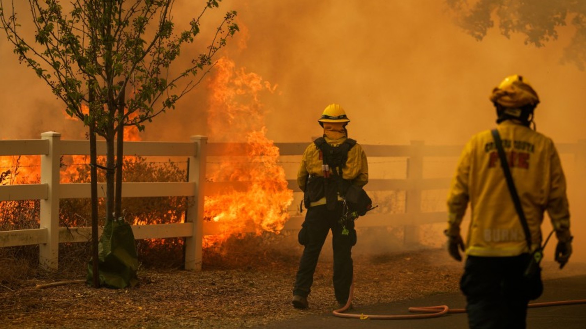 Firefighters battle flames along Lyon Road in Vacaville on Wednesday.(Kent Nishimura / Los Angeles Times)