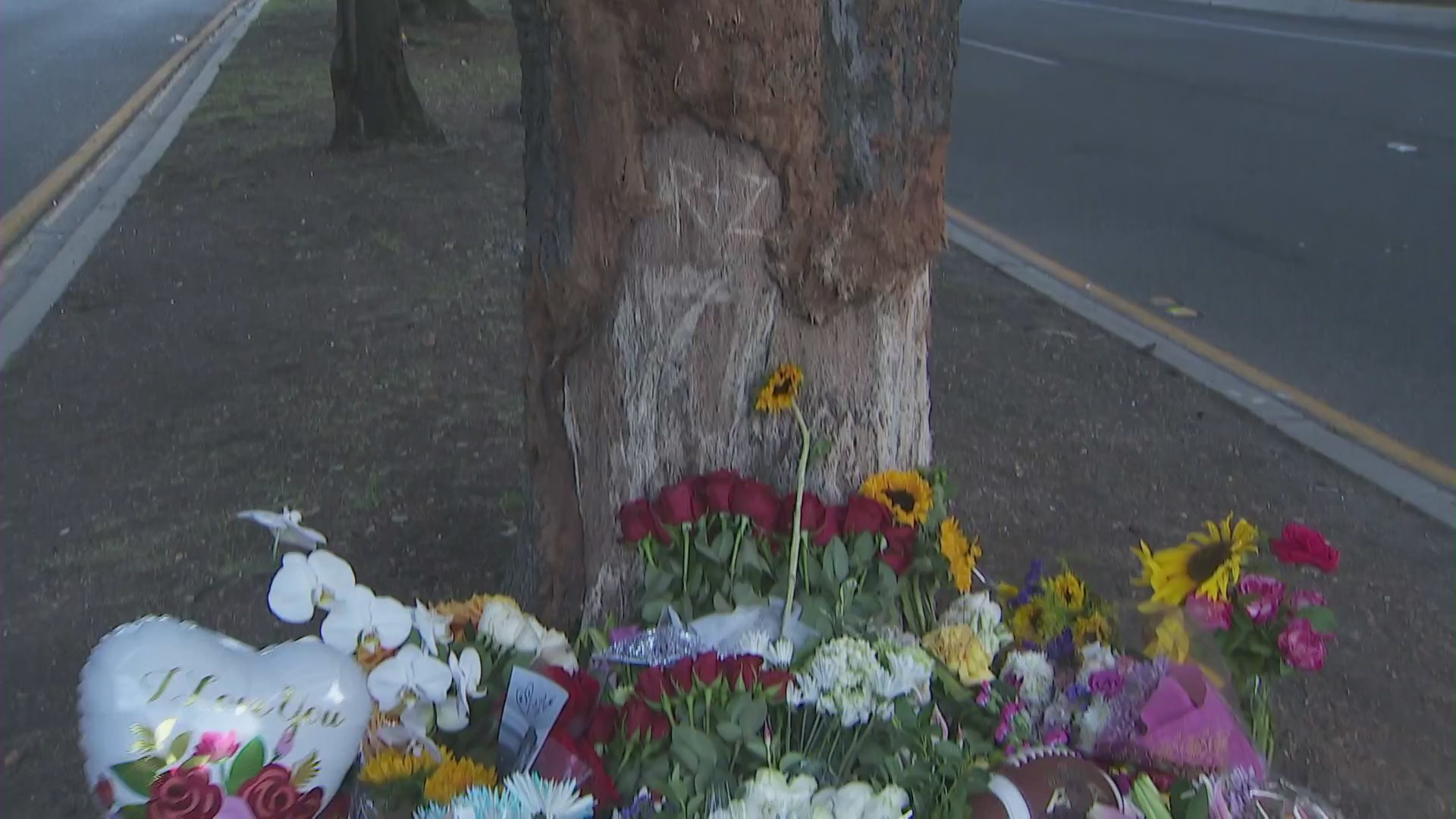 Flowers are seen by a tree engraved "R+Z" in Thousand Oaks on Aug. 2, 2020, when a car crash left two people dead. (KTLA)