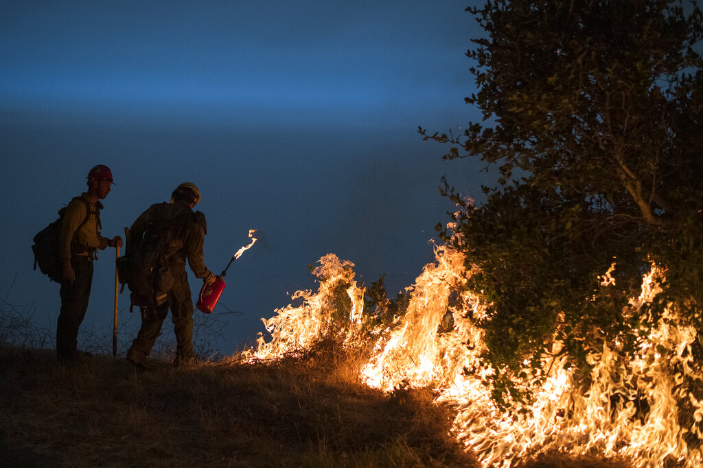 Firefighters light a controlled burn along Nacimiento-Fergusson Road to help contain the Dolan Fire near Big Sur on Sept. 11, 2020. (AP Photo/Nic Coury, File)