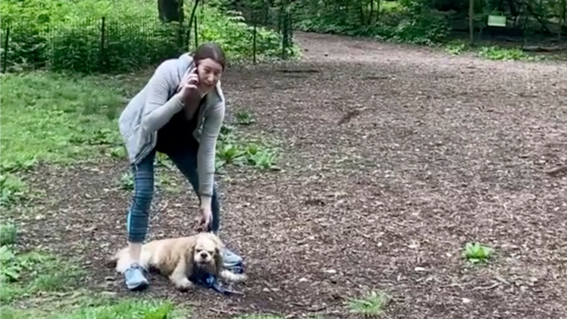 This image made from Monday, May 25, 2020, video provided by Christian Cooper shows Amy Cooper with her dog calling police at Central Park in New York. (Christian Cooper via AP)