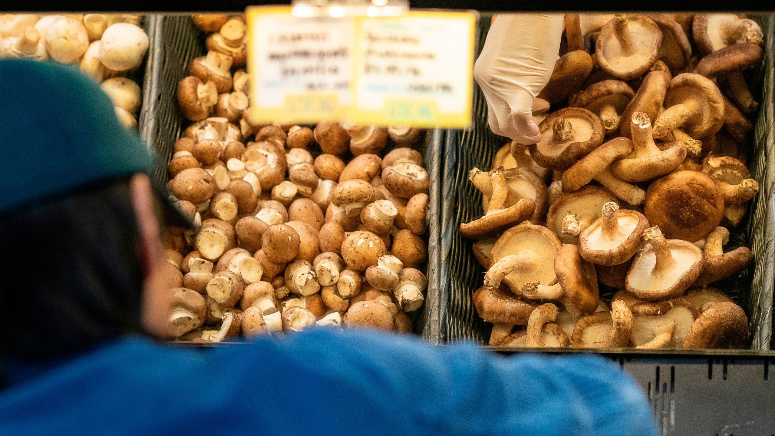 A customer wearing rubber gloves shops for mushrooms at a MOM's Organic Market on April 2, 2020, in Washington, DC. (ALEX EDELMAN/AFP via Getty Images)