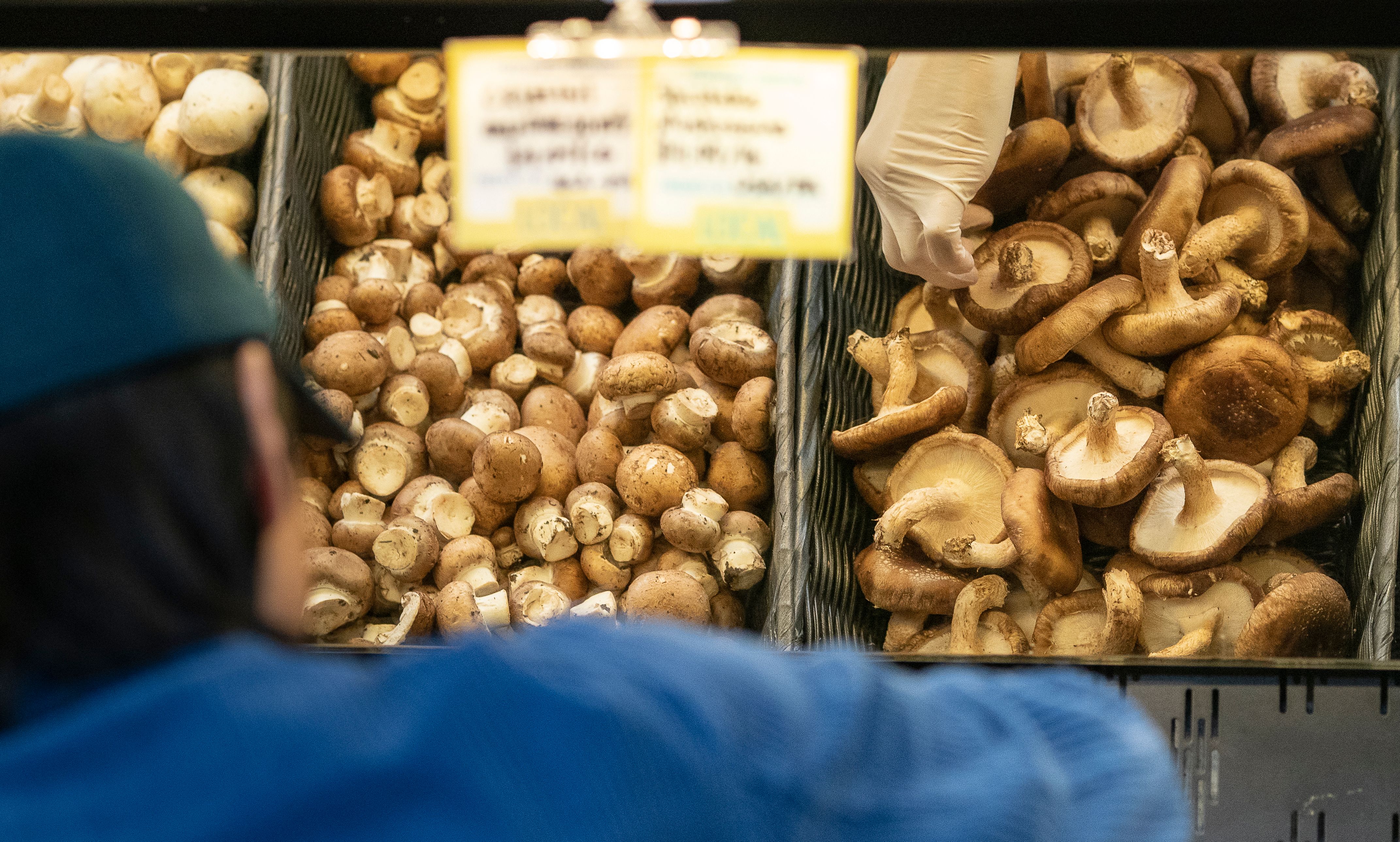 A customer wearing rubber gloves shops for mushrooms at a MOM's Organic Market on April 2, 2020, in Washington, DC. (ALEX EDELMAN/AFP via Getty Images)