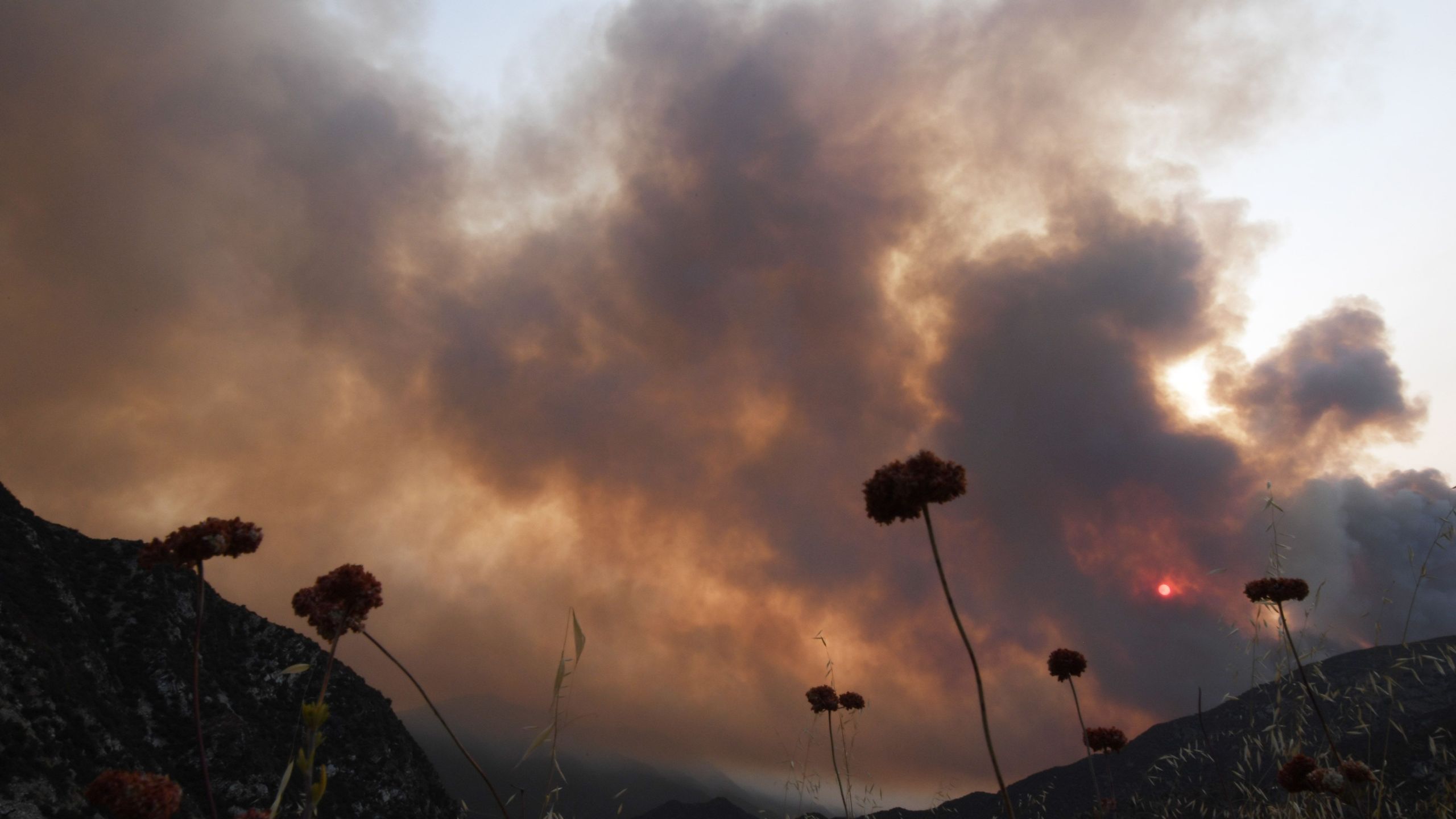 The sun is seen behind smoke from the Bobcat Fire rising above in the Angeles National Forest above Duarte on Sept. 7, 2020. (Robyn Beck / AFP)