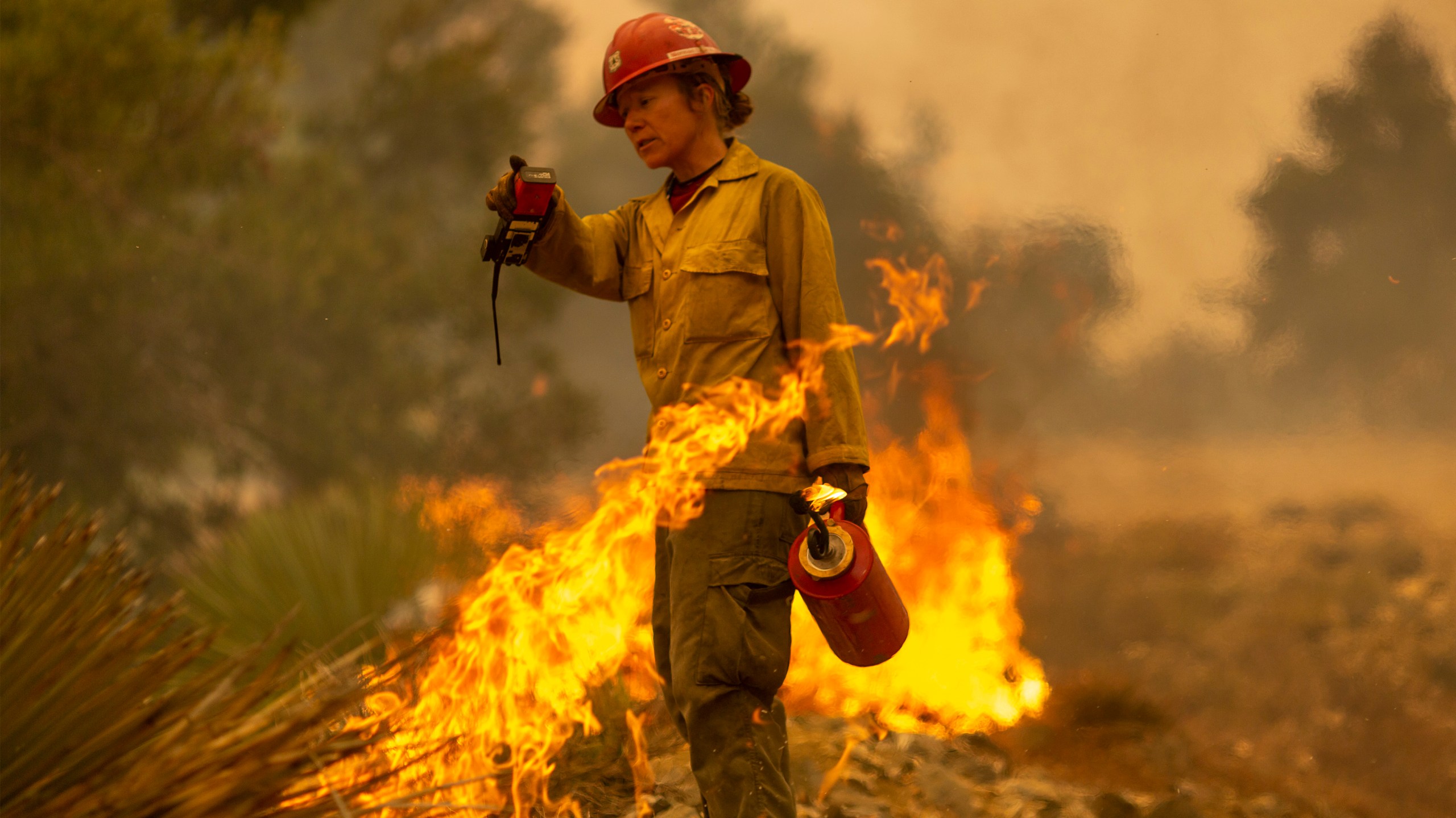 Mormon Lake Hotshots firefighter Sara Sweeney uses a drip torch to set a backfire to protect mountain communities from the Bobcat Fire in the Angeles National Forest on September 10, 2020 north of Monrovia, California. (David McNew/Getty Images)