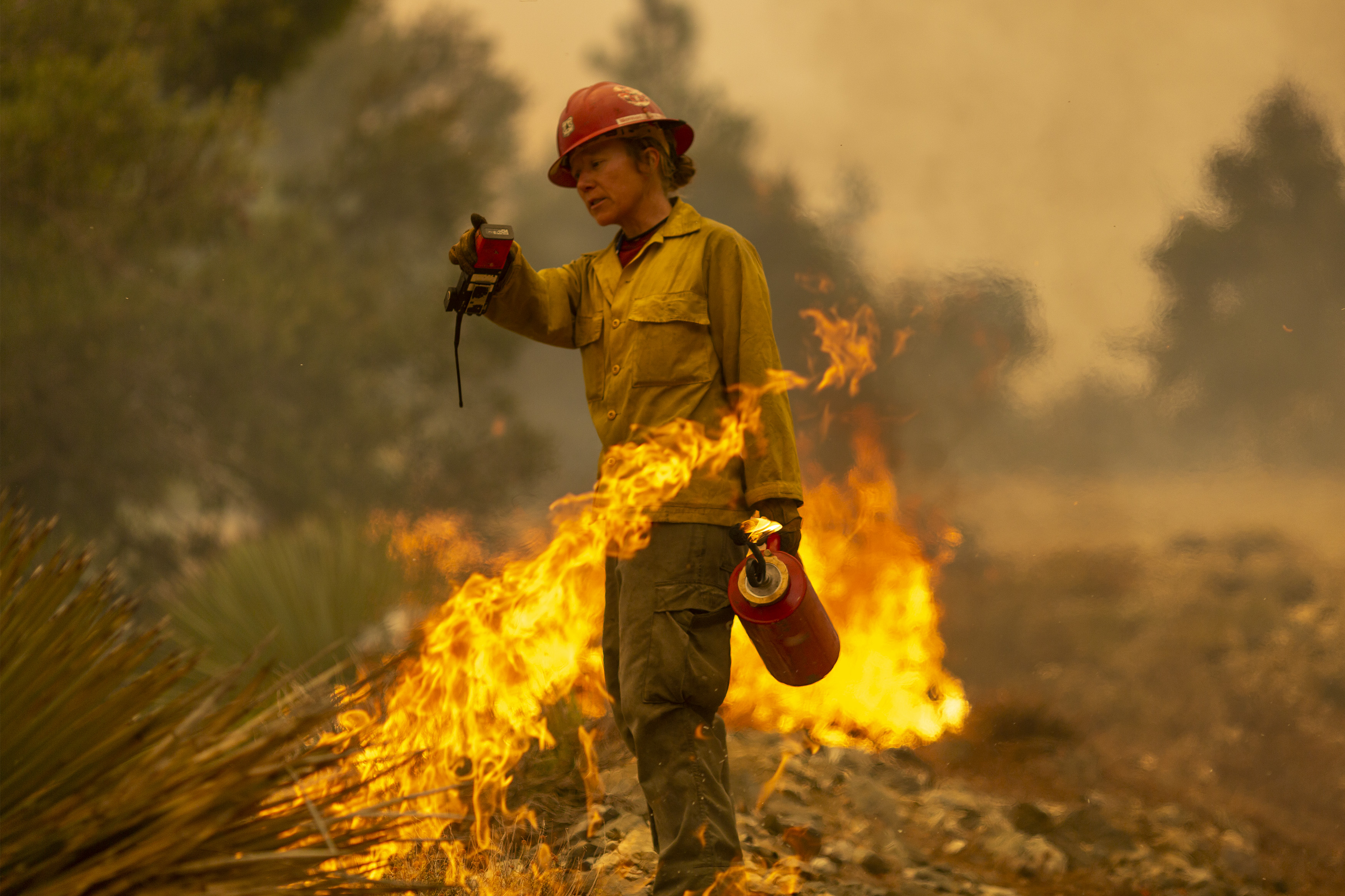 Mormon Lake Hotshots firefighter Sara Sweeney uses a drip torch to set a backfire to protect mountain communities from the Bobcat Fire in the Angeles National Forest on September 10, 2020 north of Monrovia, California. (David McNew/Getty Images)