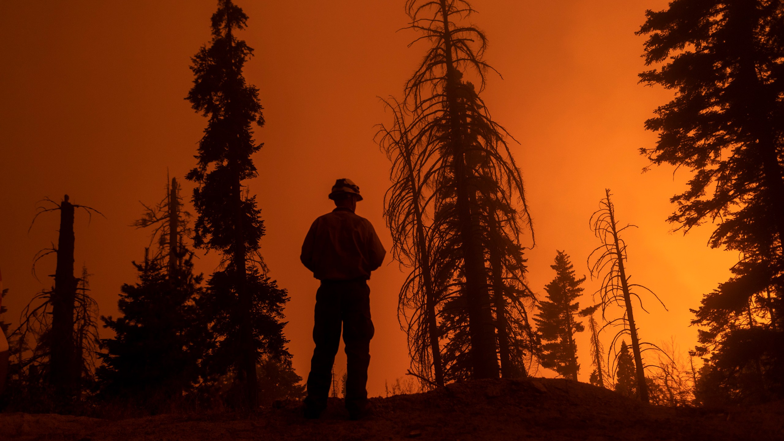 A firefighter keeps watch as flames advance along the Western Divide Highway during the SQF Complex Fire near Camp Nelson on Sept. 14, 2020. (David McNew / Getty Images)