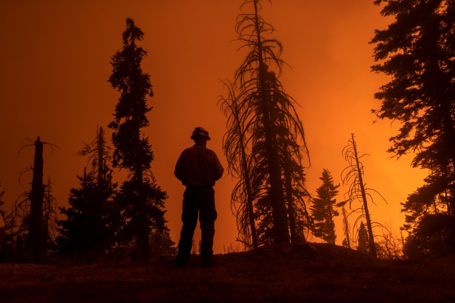 A firefighter keeps watch as flames advance along the Western Divide Highway during the SQF Complex Fire near Camp Nelson on Sept. 14, 2020. (David McNew / Getty Images)