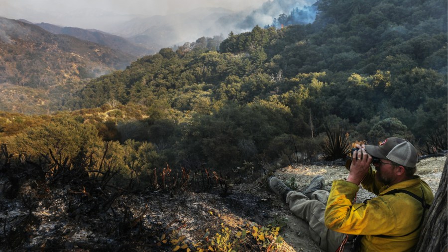 A firefighter keeps lookout from a ridge as smoke drifts during the Bobcat Fire in the Angeles National Forest on Sept. 23, 2020 near Pasadena. (Mario Tama/Getty Images)