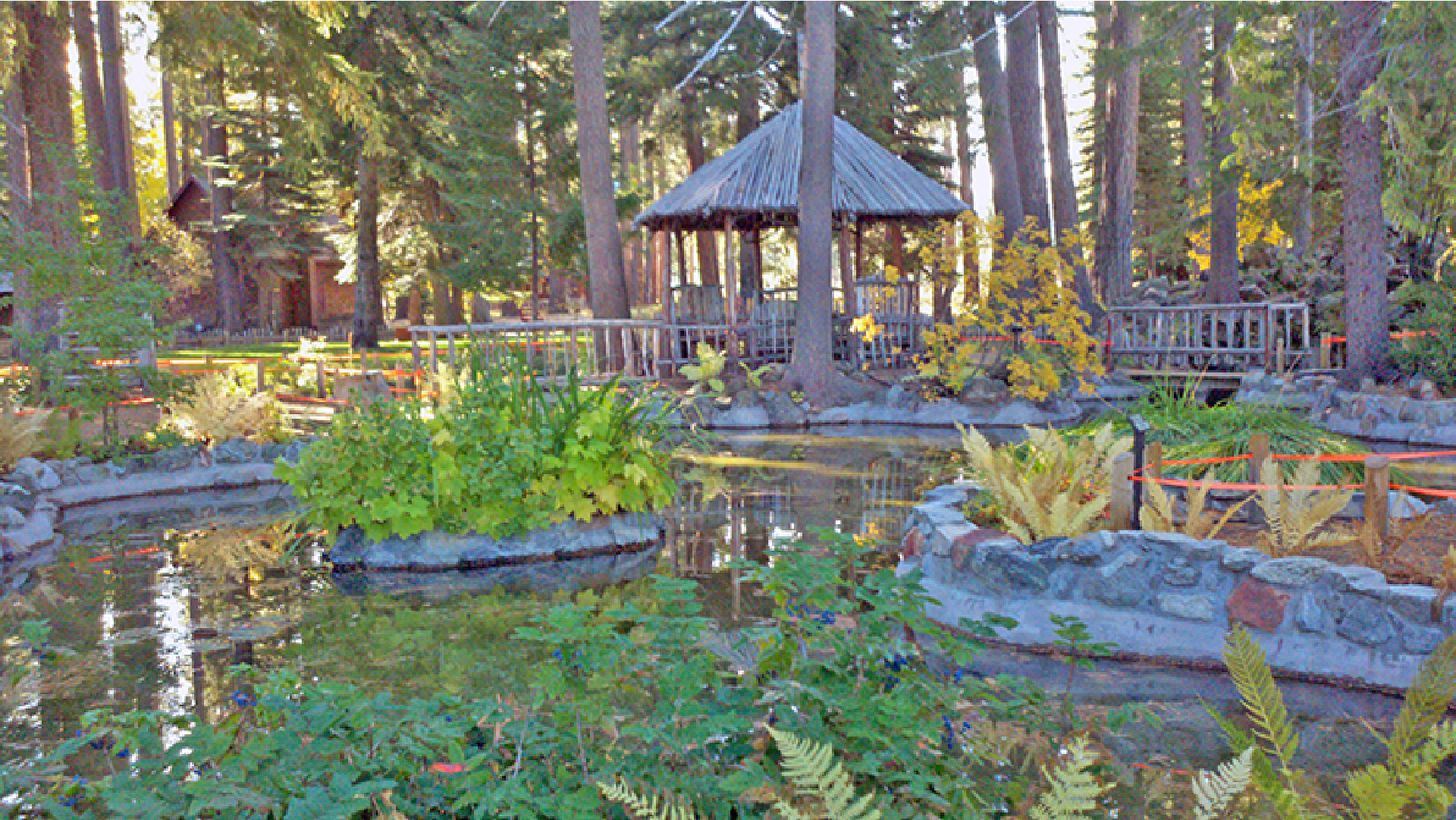 The arboretum area is nestled in the trees between Camp Richardson and the Taylor Creek Visitor Center. (Tahoe Heritage Foundation/ U.S. Forest Service)