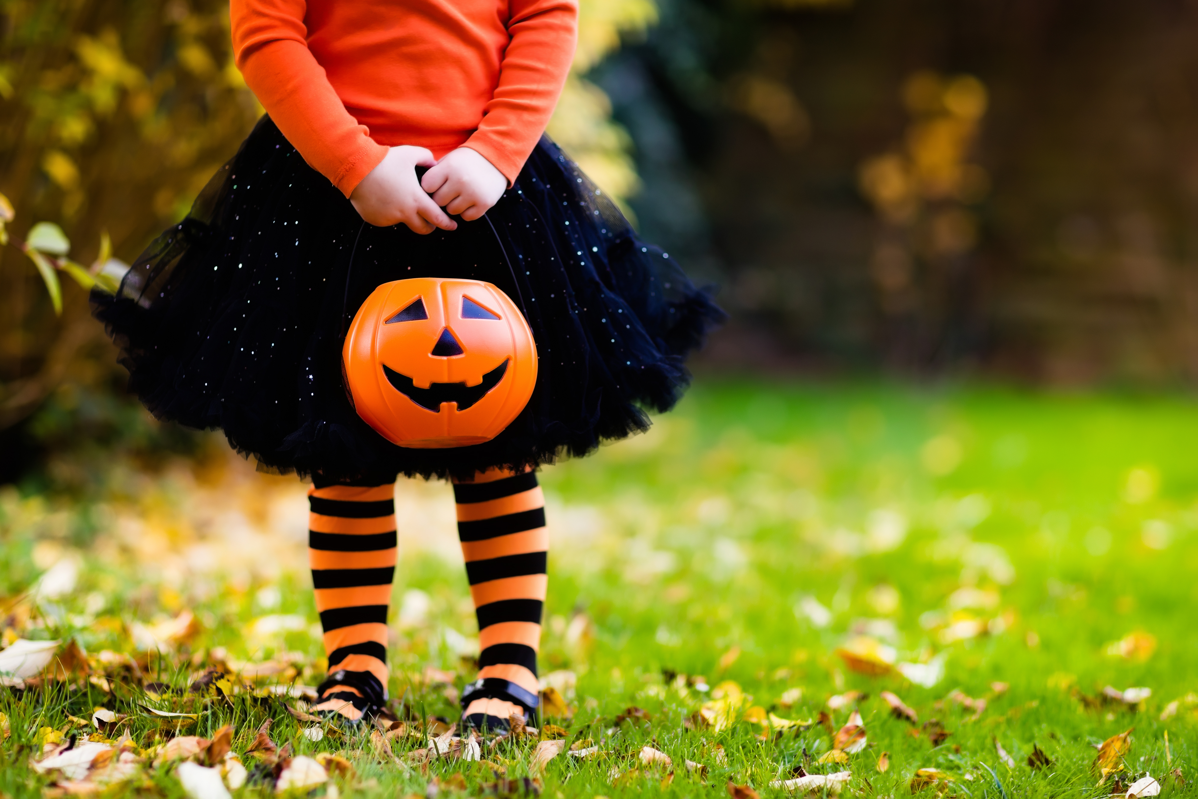 A child is seen having fun at a Halloween trick-or-treat. (iStock / Getty Images)