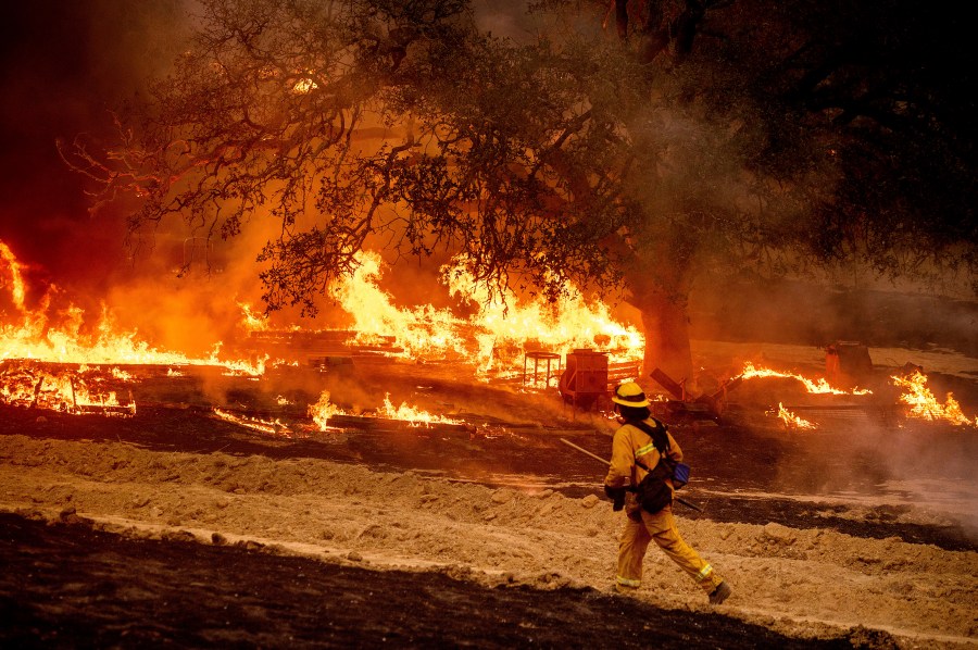 A firefighter passes flames while battling the Glass Fire in a Calistoga, Calif., vineyard Thursday, Oct. 1, 2020. (AP Photo/Noah Berger)