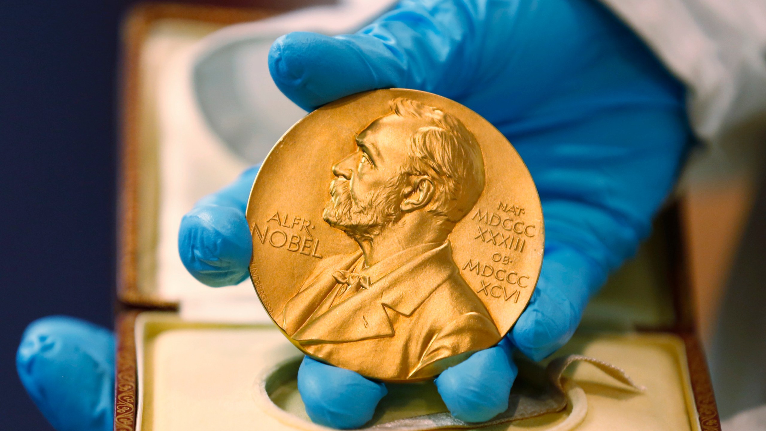 In this April 17, 2015, file photo, a national library employee shows a gold Nobel Prize medal in Bogota, Colombia. (AP Photo/Fernando Vergara, File)