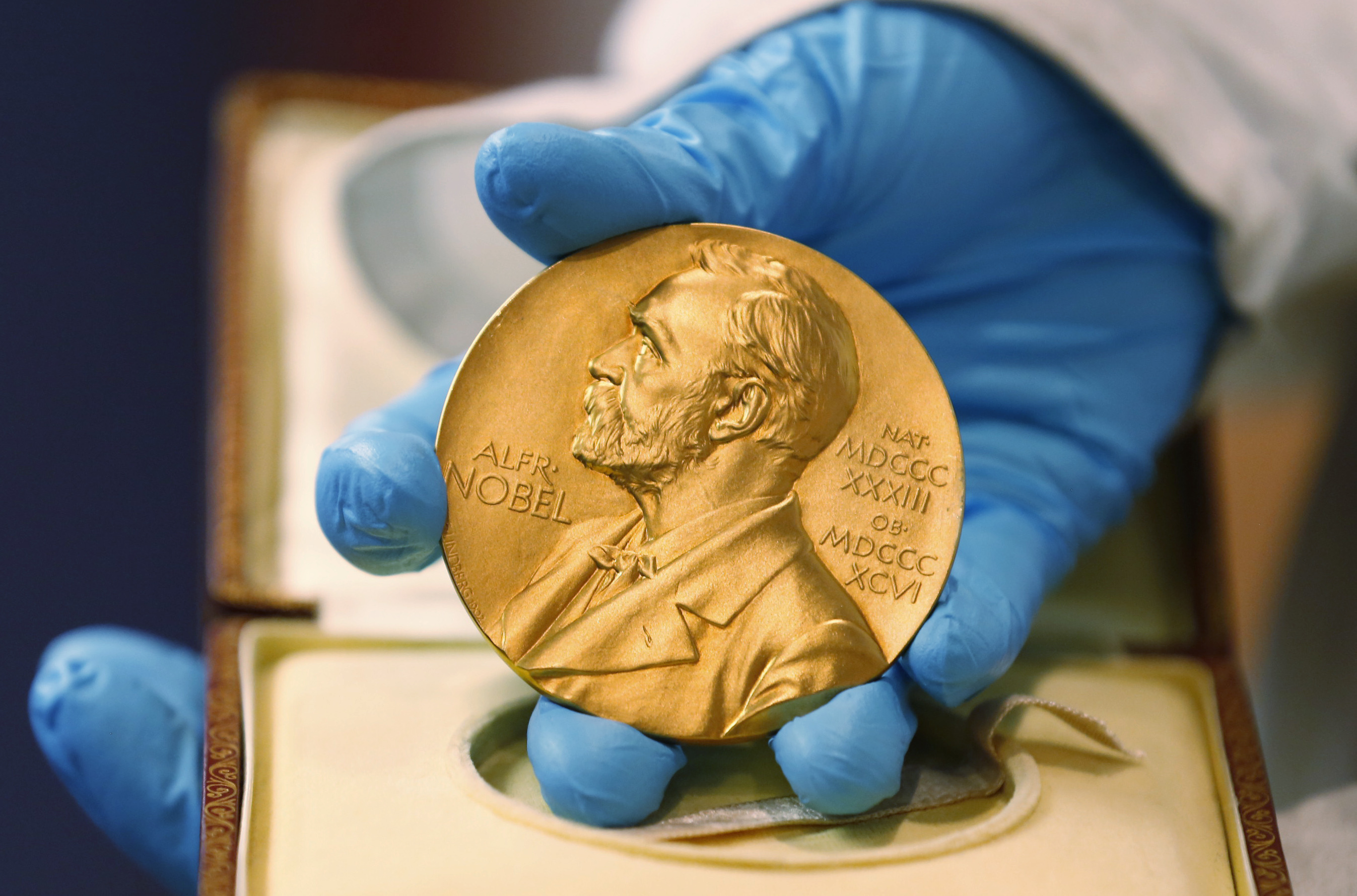 In this April 17, 2015, file photo, a national library employee shows a gold Nobel Prize medal in Bogota, Colombia. (AP Photo/Fernando Vergara, File)