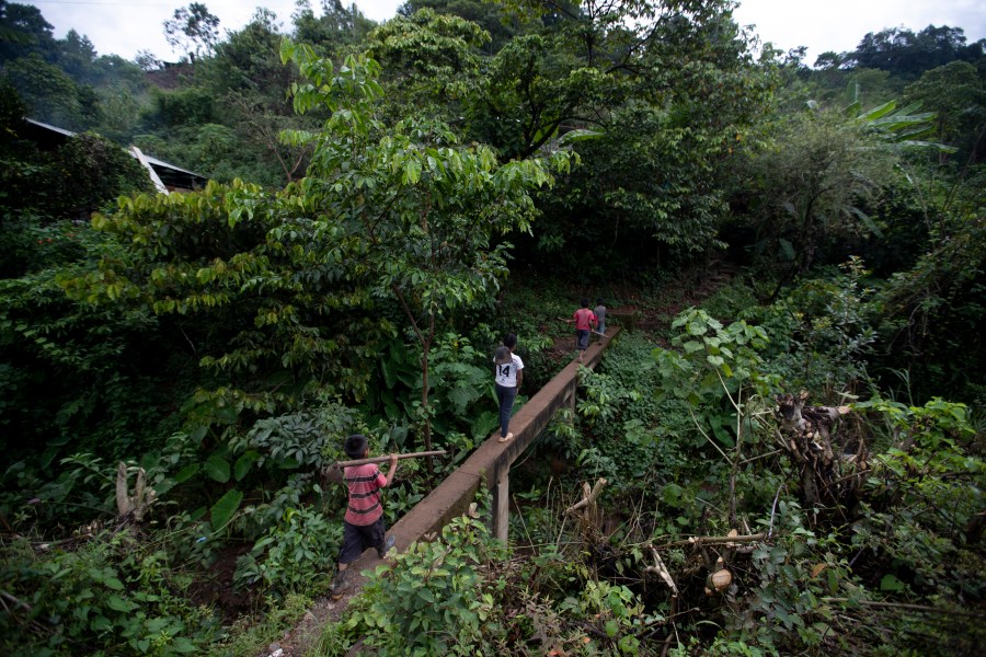 Juan Gabriel Vazquez, center, and his brothers walk to the corn fields to work in the community of Nuevo Yibeljoj in Chiapas state, Mexico, Friday, Sept. 11, 2020. (Eduardo Verdugo/AP)