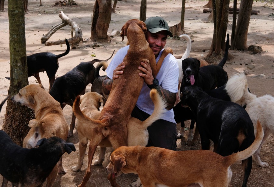 In this Oct. 13, 2020, photo, Ricardo Pimentel is greeted by dogs that he rescued at his Tierra de Animales (Land of Animals) shelter in Leona Vicario, Mexico. Pimentel sheltered about 300 dogs at his home during Hurricane Delta, and his story, which has gone viral, led people across the world to donate to the shelter. (AP Photo/Luis Andres Henao)