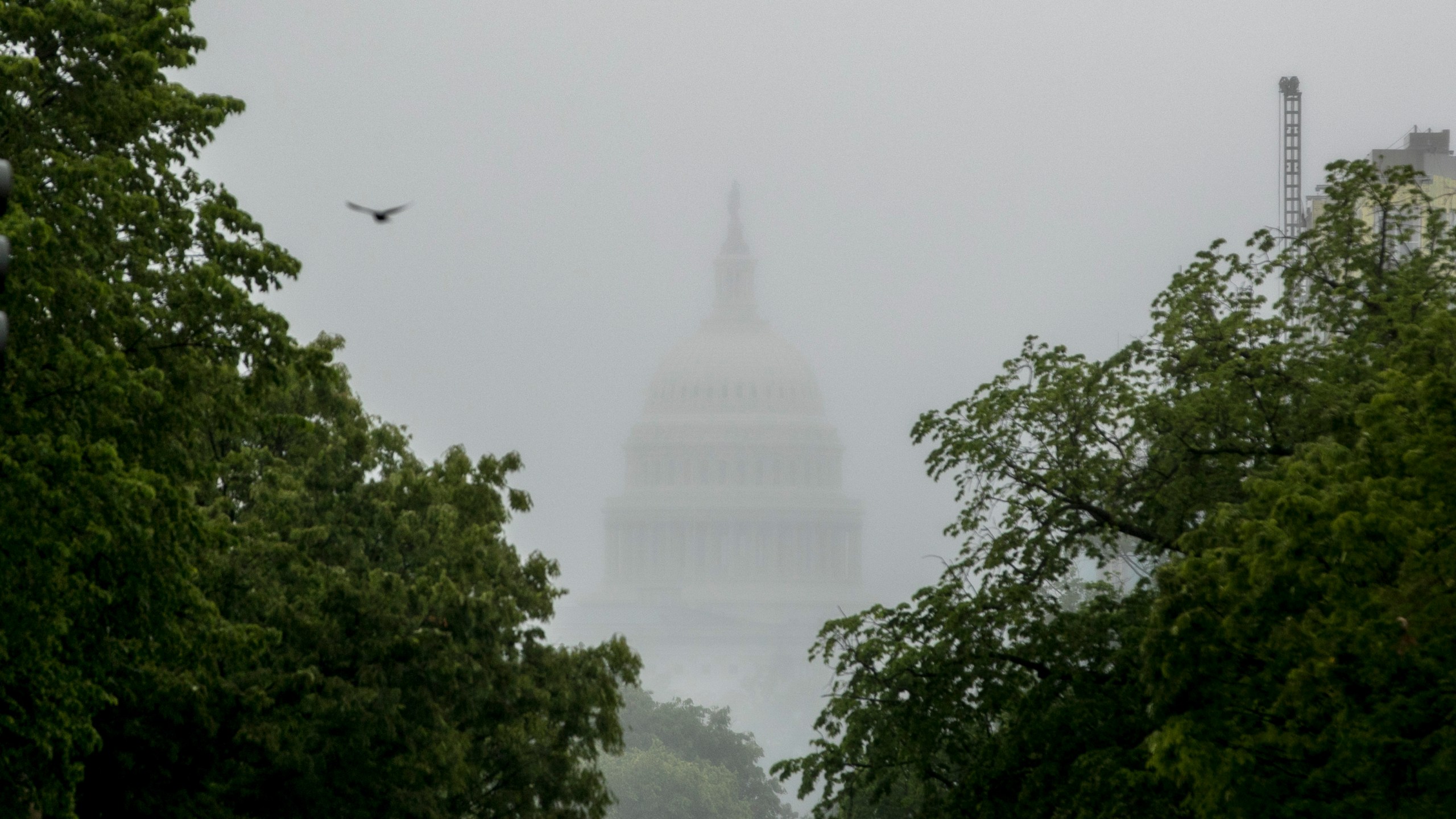 In this May 22, 2020, file photo the Dome of the U.S. Capitol Building is visible through heavy fog in Washington. (AP Photo/Andrew Harnik, File)