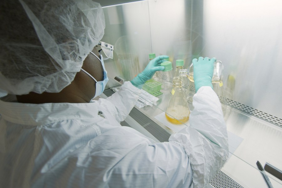 In this May 2020 file photo provided by Eli Lilly, a researcher tests possible COVID-19 antibodies in a laboratory in Indianapolis. (David Morrison/Eli Lilly via AP)