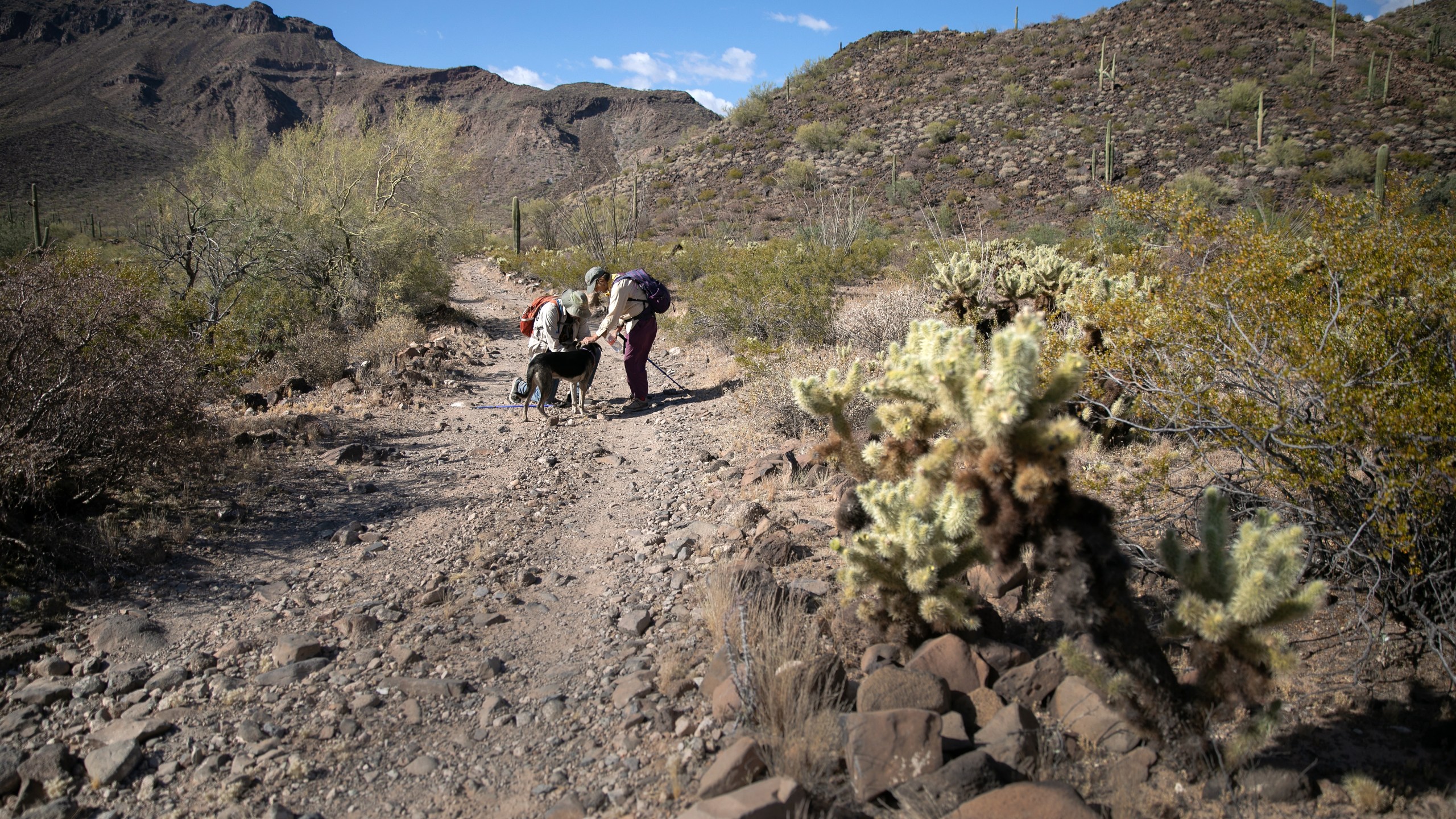 Volunteers for the humanitarian aid group No More Deaths pause while delivering water along remote immigrant trails on May 11, 2019, near Ajo, Arizona. (John Moore / Getty Images)