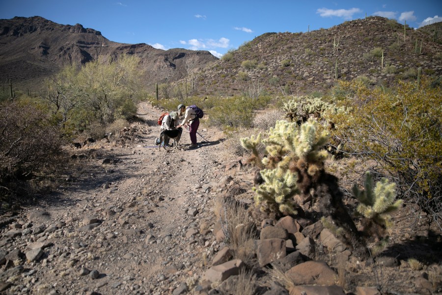 Volunteers for the humanitarian aid group No More Deaths pause while delivering water along remote immigrant trails on May 11, 2019, near Ajo, Arizona. (John Moore / Getty Images)