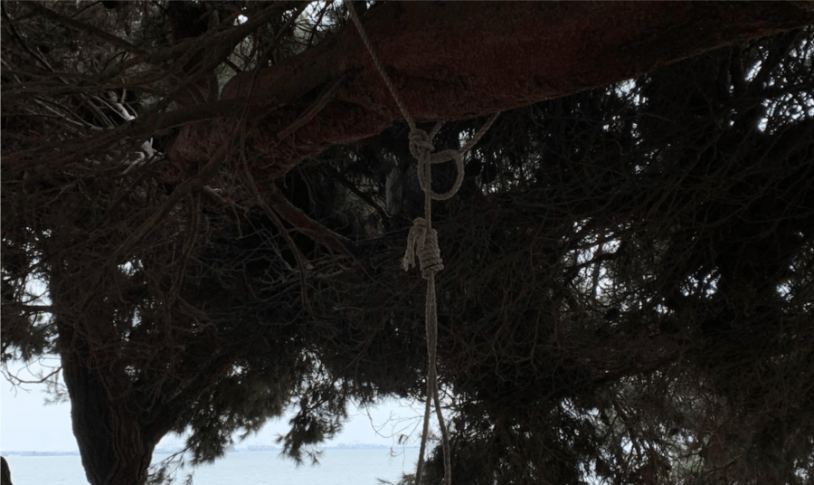 The Berkeley Police Department released this photo of a noose a man is suspected of tying in Berkeley on Oct. 9, 2020.