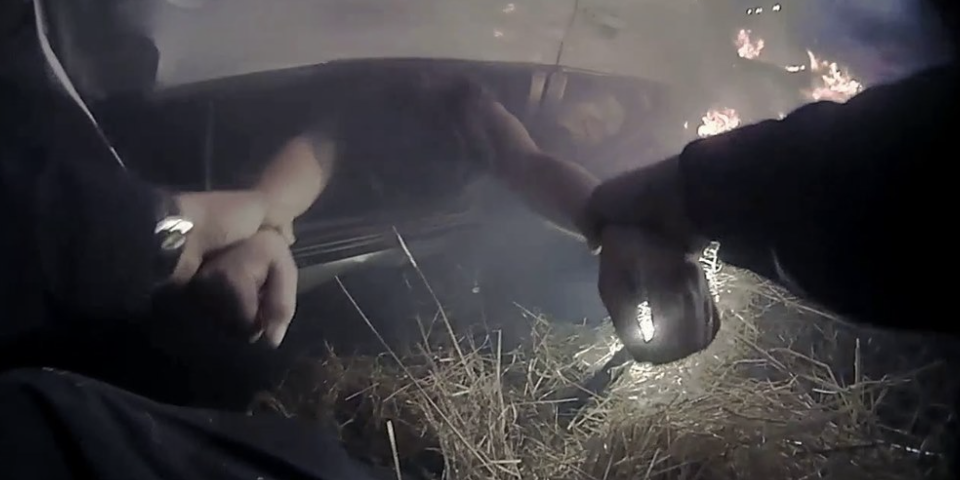 Davis Police officer pulls woman out of burning car, (Davis Police Department)