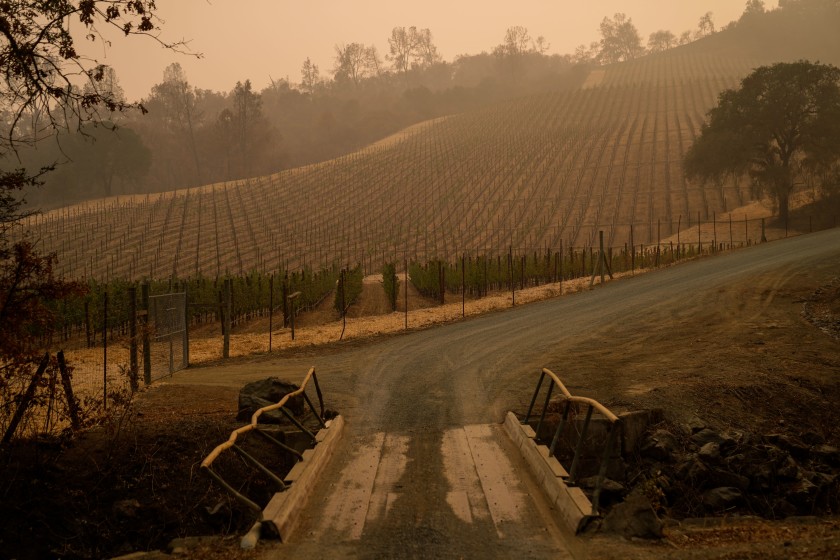 The vineyards at the Somerston Estate Winery & Vineyards in St. Helena. Wineries including Somerston are forgoing a 2020 vintage due to the ongoing wildfire season, which has seen two major wildfires in the region.(Kent Nishimura / Los Angeles Times)