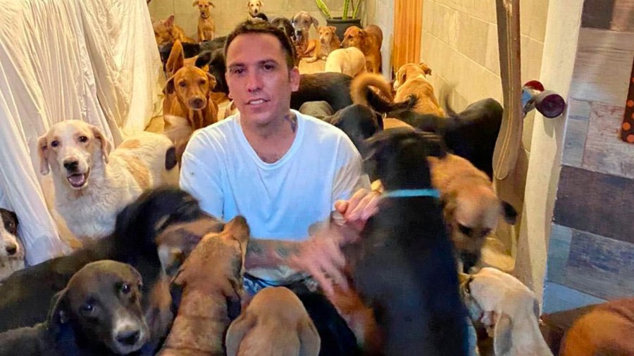 In this Oct. 7, 2020, photo provided by Daniela Rojas, Ricardo Pimentel plays with dogs that he sheltered at his home in Leona Vicario, Mexico, during Hurricane Delta. (Daniela Rojas via AP)