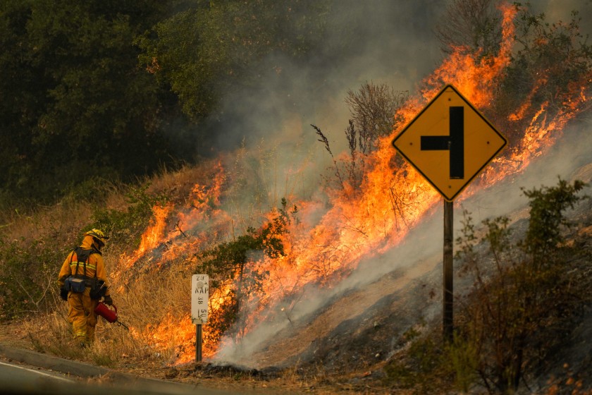 A firefighter uses a drip torch during a backfire operation on Sept. 29, 2020 as the Glass Fire burns along Silverado Trail in Calistoga. (Kent Nishimura / Los Angeles Times)