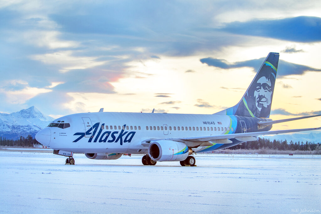 This early Sunday, Nov. 15, 2020, photo provided by R E Johnson shows an Alaska Airlines jet that struck a brown bear while landing in the early evening the day before, killing the animal and causing damage to the plane, at Yakutat Airport in Yakutat, Alaska. (R E Johnson via AP)