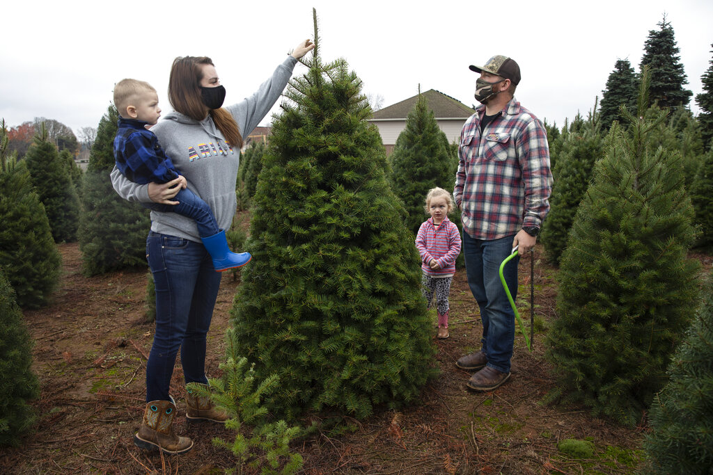 Josh and Jessica Ferrara shop for Christmas trees with son Jayce, 1 year and Jade, 3 years, at Sunnyview Christmas Tree farm on Nov. 21, 2020 in Salem, Ore. (AP Photo/Paula Bronstein)