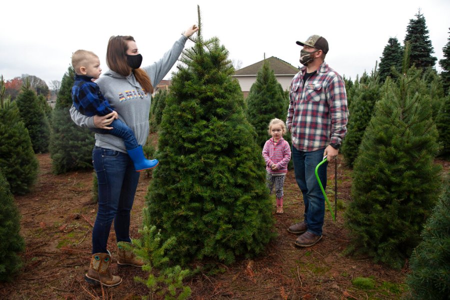 Josh and Jessica Ferrara shop for Christmas trees with son Jayce, 1 year and Jade, 3 years, at Sunnyview Christmas Tree farm on Nov. 21, 2020 in Salem, Ore. (AP Photo/Paula Bronstein)