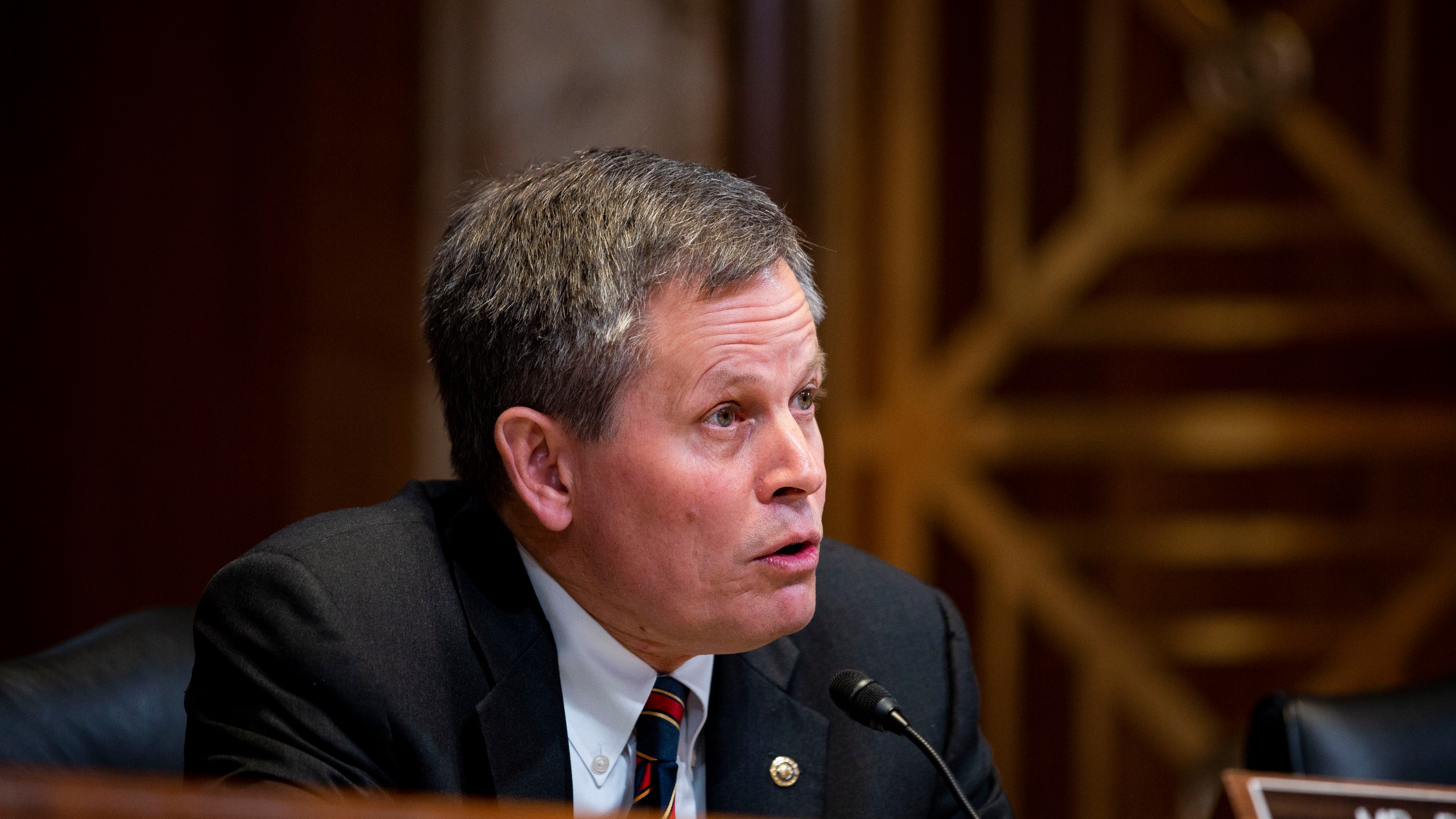 U.S. Sen. Steve Daines, R-Montana, speaks at a Financial Services and General Government Subcommittee hearing on May 15, 2019 in Washington, DC. (Anna Moneymaker/Getty Images)