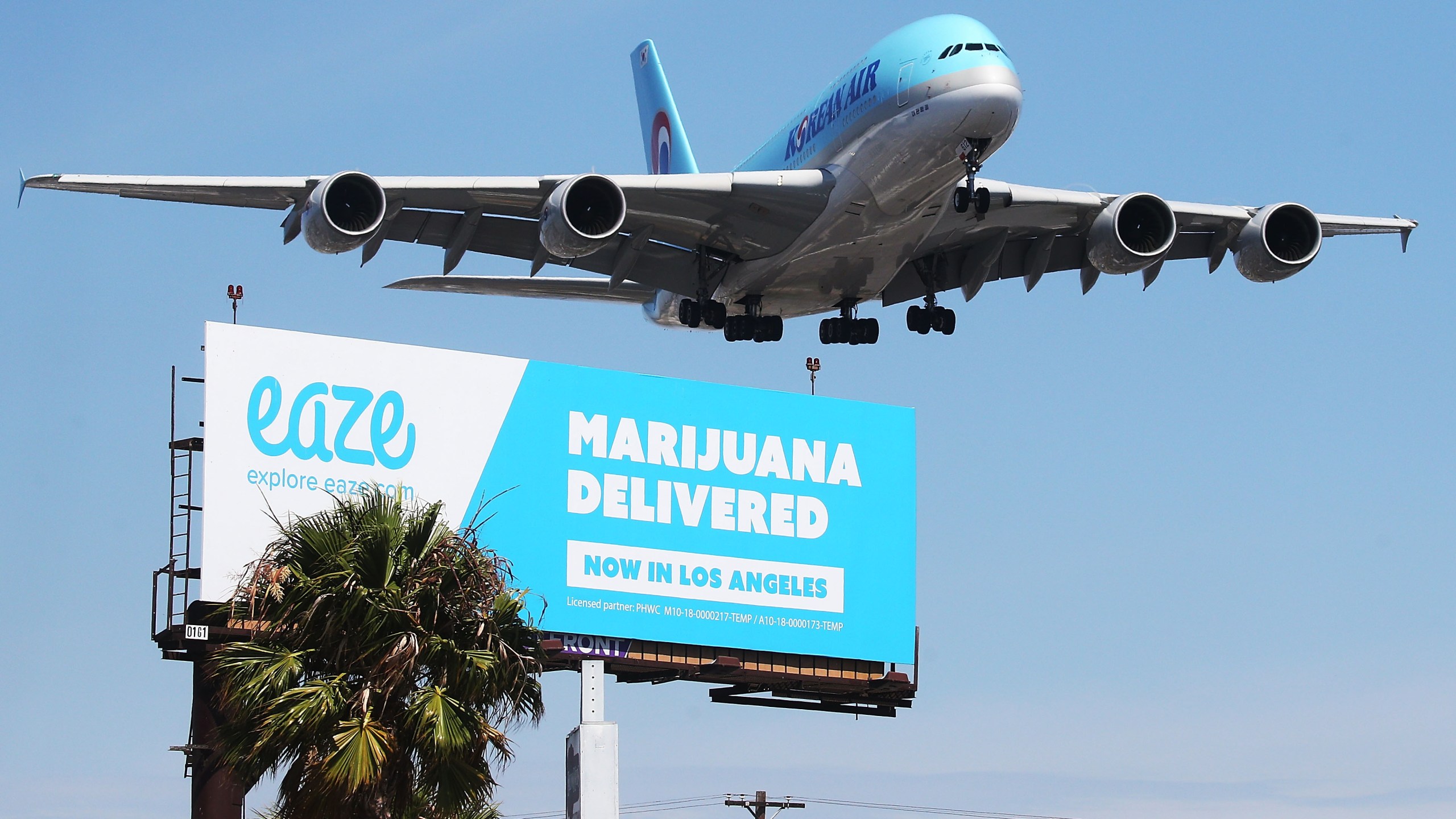 An airplane descends to land at Los Angeles International Airport above a billboard advertising the marijuana delivery service Eaze on July 12, 2018 in Los Angeles, California. (Mario Tama/Getty Images)