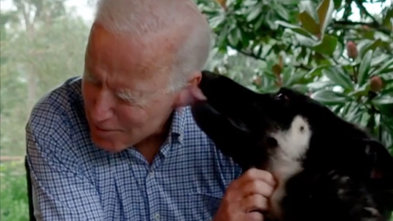 President-elect Joe Biden gets a kiss on the cheek from his rescue dog, Major. (Courtesy: Biden social media accounts)