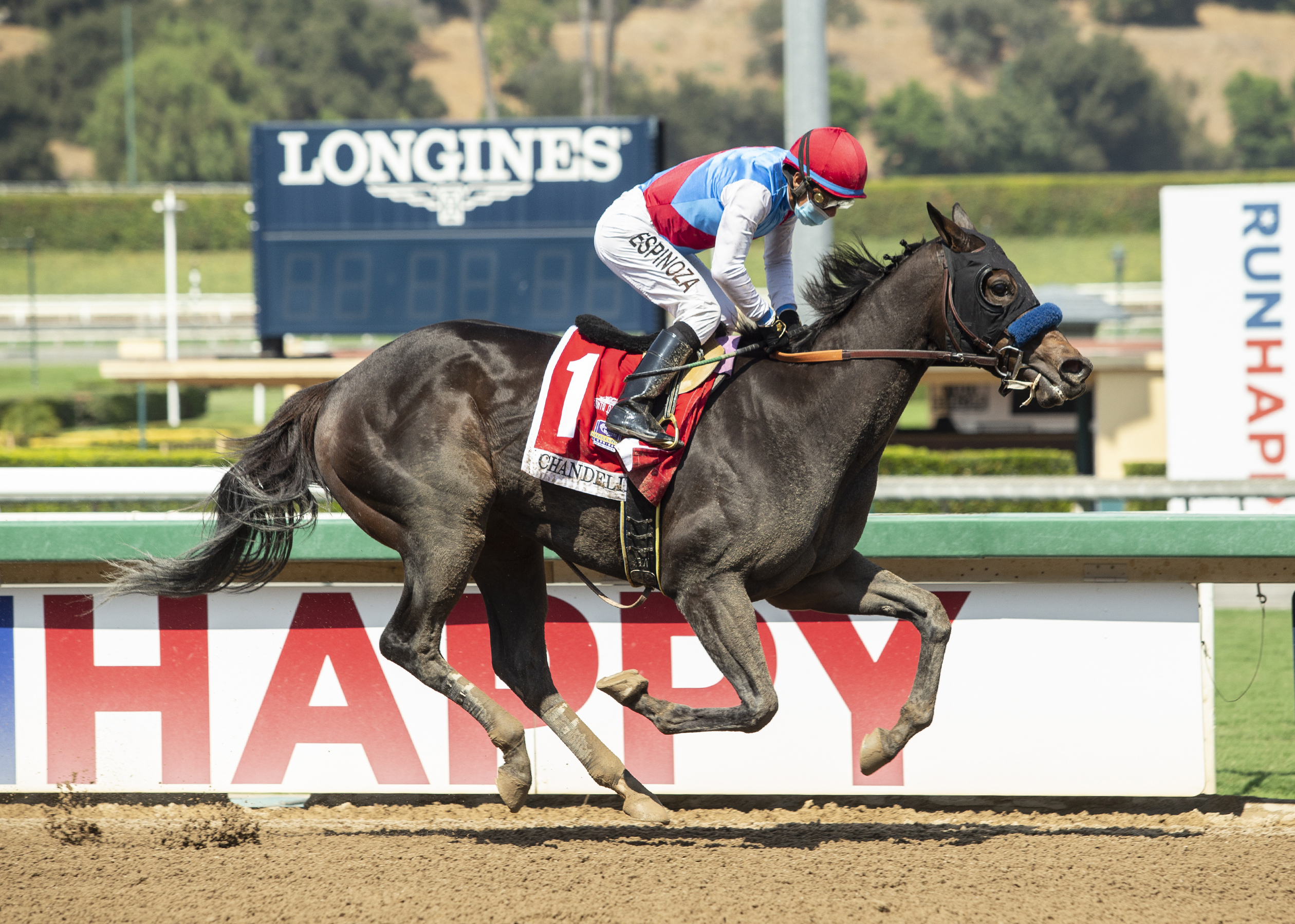 This Sept. 26, 2020, file photo provided by Benoit Photo, Princess Noor and jockey Victor Espinoza are seen winning the Grade II, $200,000 Chandelier Stakes, at Santa Anita Park in Arcadia, Calif. (Benoit Photo via AP)