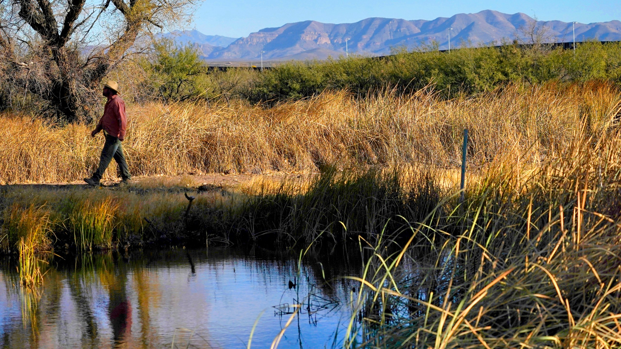 Myles Traphagen, Borderlands Program Coordinator for Wildlands Network, walks through a marsh area as the top of a newly erected border wall cuts through the San Bernardino National Wildlife Refuge, Tuesday, Dec. 8, 2020, in Douglas, Ariz. (Matt York/AP Photo)