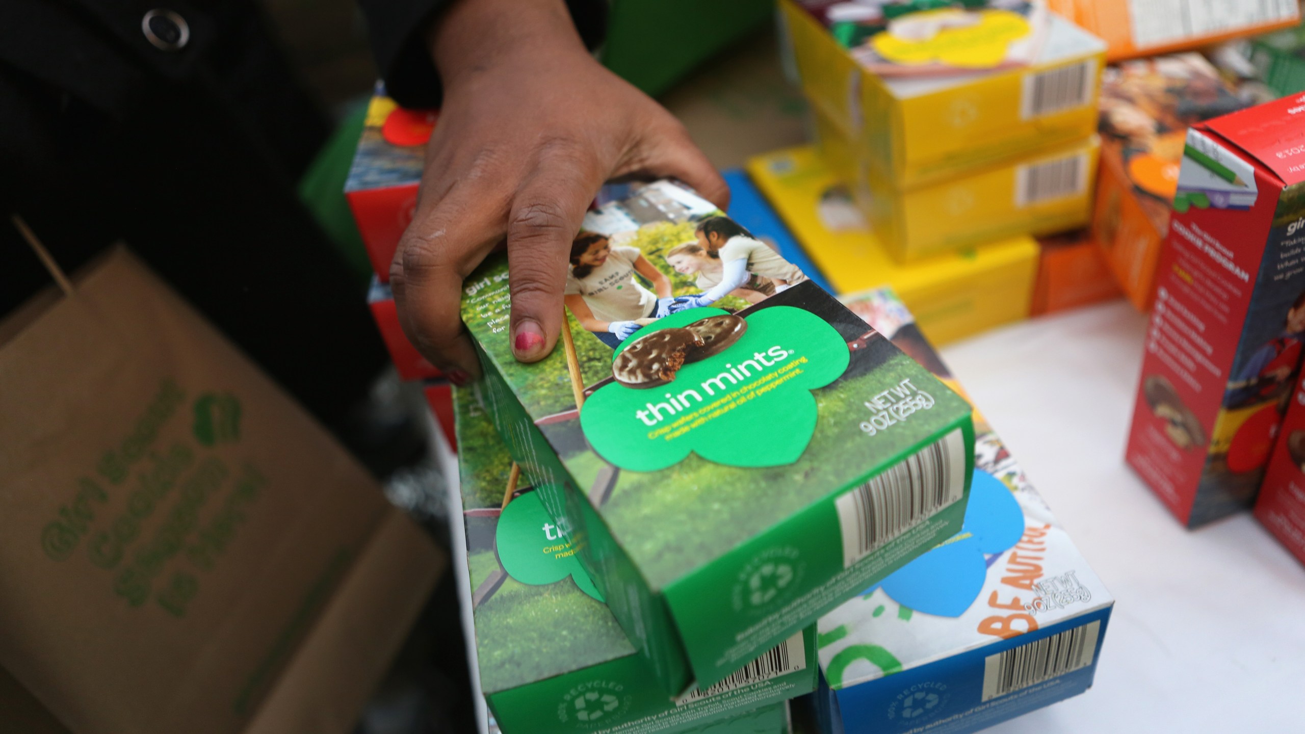 This file photo shows Girl Scouts selling cookies on Feb. 8, 2013 in New York City. (John Moore/Getty Images)