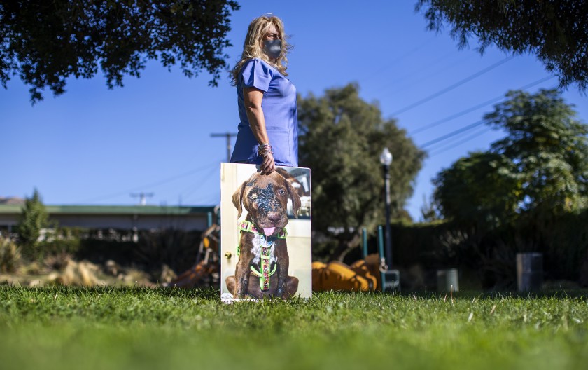 Sedna Moseley poses with a large photo of her dog Riley, whom she adopted as a puppy, in this undated photo. (Gina Ferazzi / Los Angeles Times)