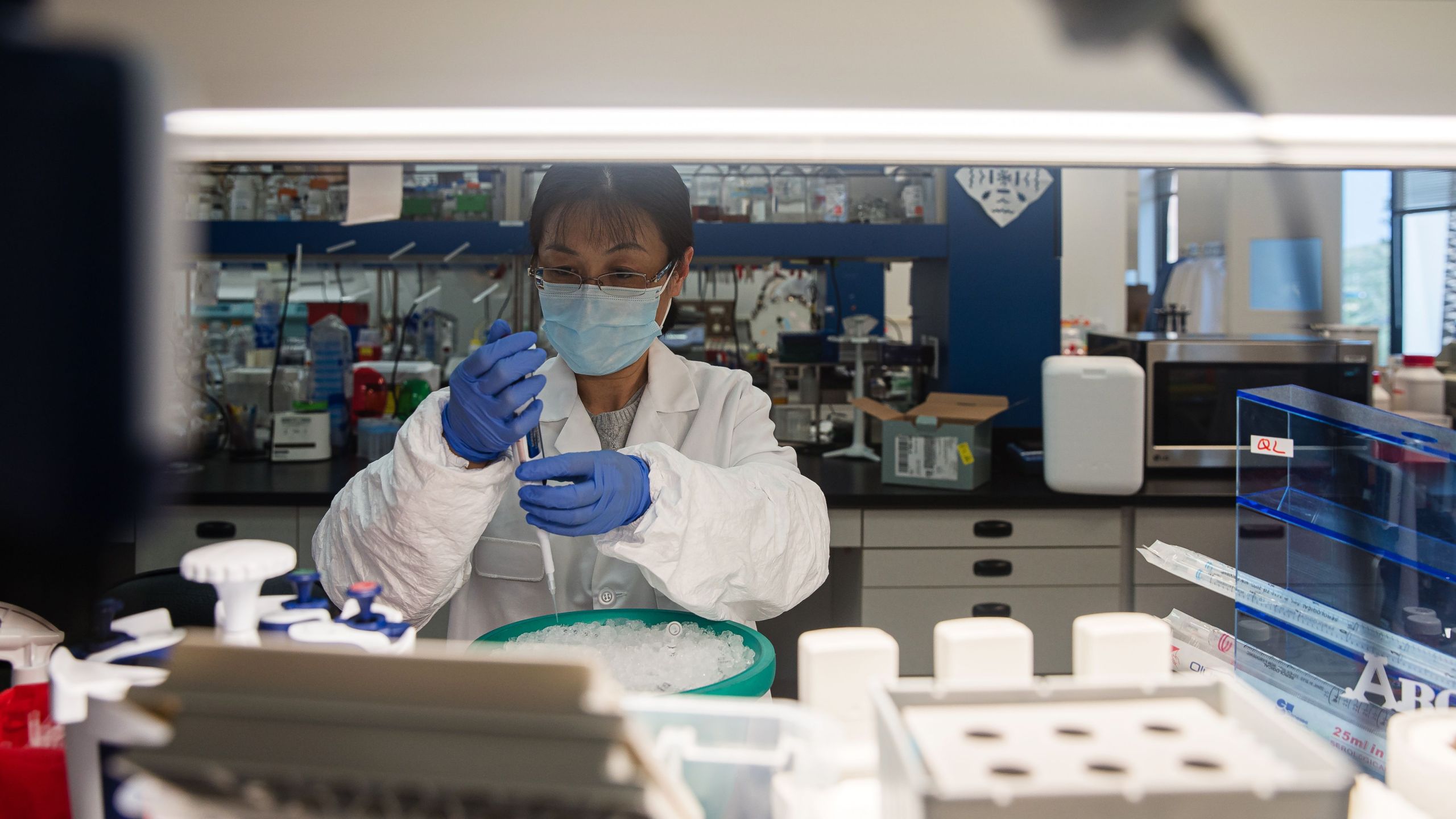 A scientist works in the lab that is focused on fighting COVID-19 at Sorrento Therapeutics in San Diego on May 22, 2020. (ARIANA DREHSLER/AFP via Getty Images)