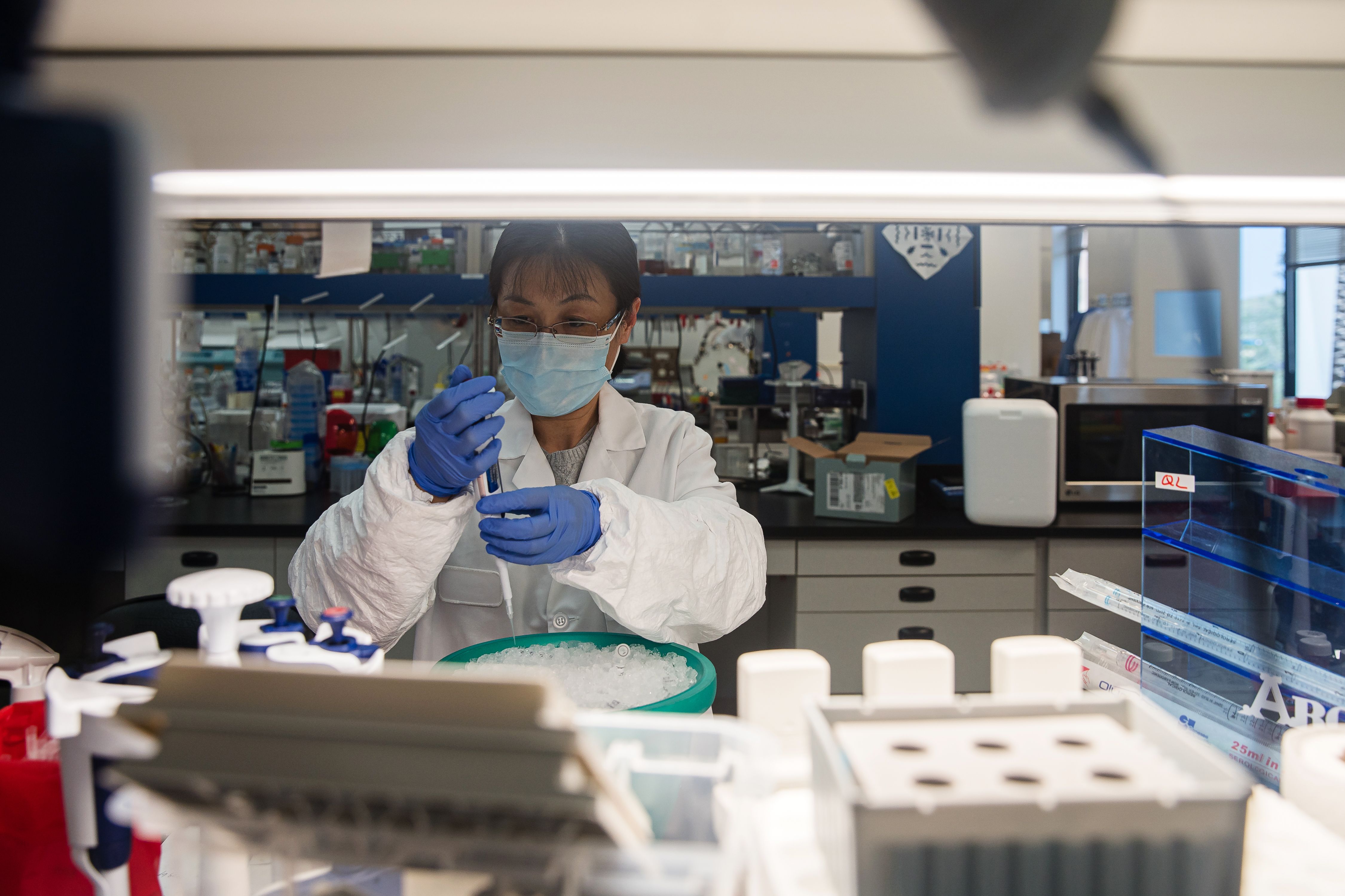 A scientist works in the lab that is focused on fighting COVID-19 at Sorrento Therapeutics in San Diego on May 22, 2020. (ARIANA DREHSLER/AFP via Getty Images)