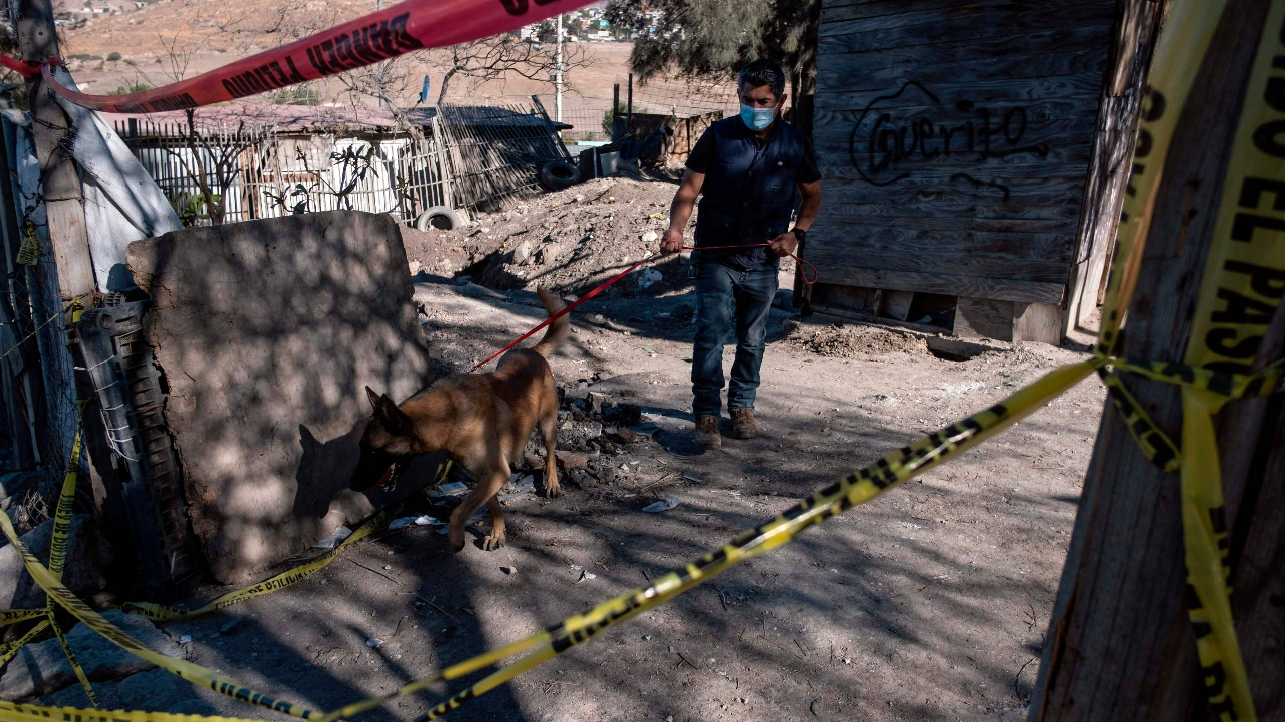 Julio Cesar Diaz, a volunteer dedicated to train dogs, walks with his dog looking for potential search spots as members of a group searching for missing people search human remains at a yard of a house located on the Maclovio Rojas area in Tijuana, Mexico, on January 10, 2021. (GUILLERMO ARIAS/AFP via Getty Images)