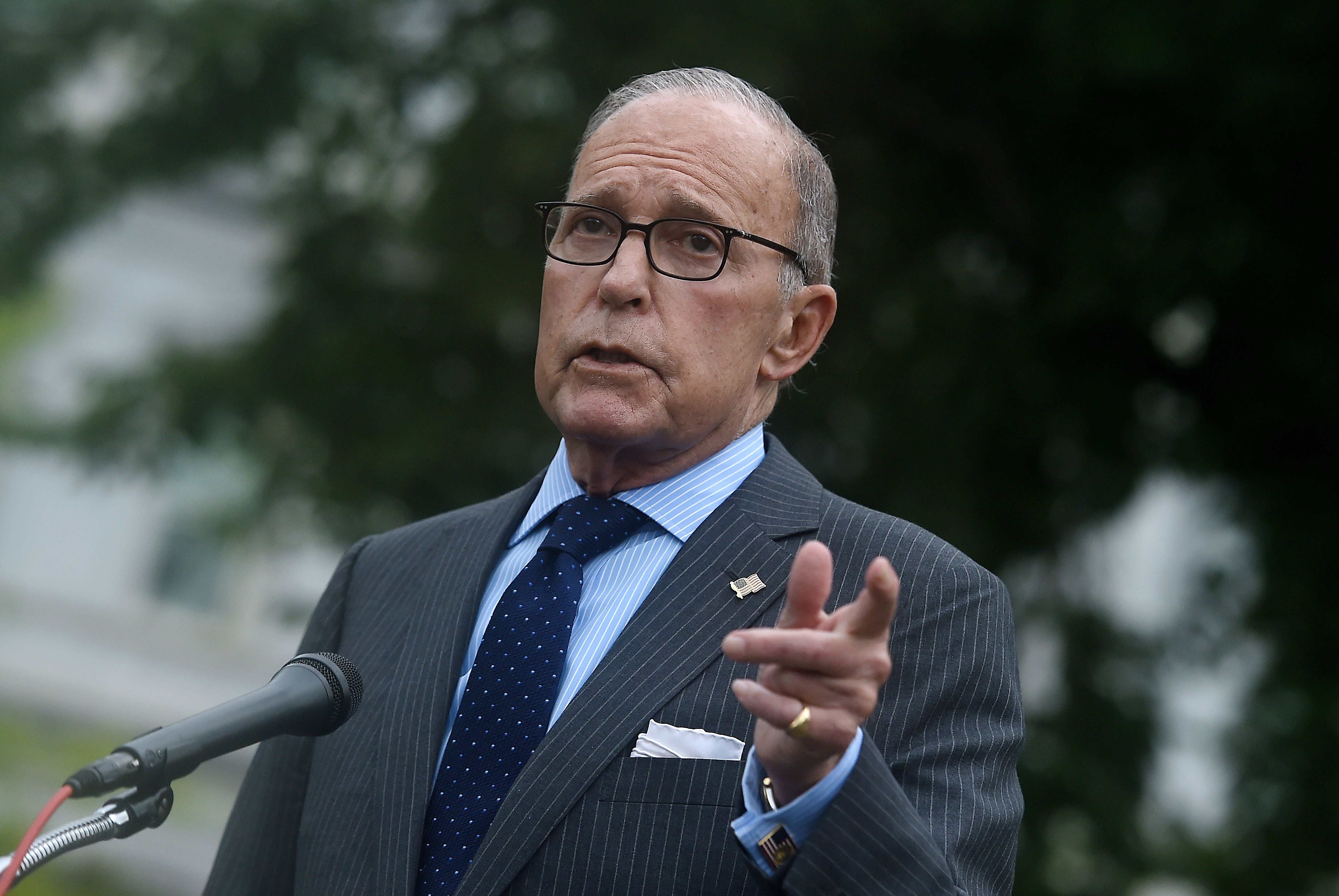 Director of the National Economic Council Larry Kudlow speaks to reporters outside the West Wing of the White House on Sept. 2, 2020. (Olivier DOULIERY/AFP via Getty Images)