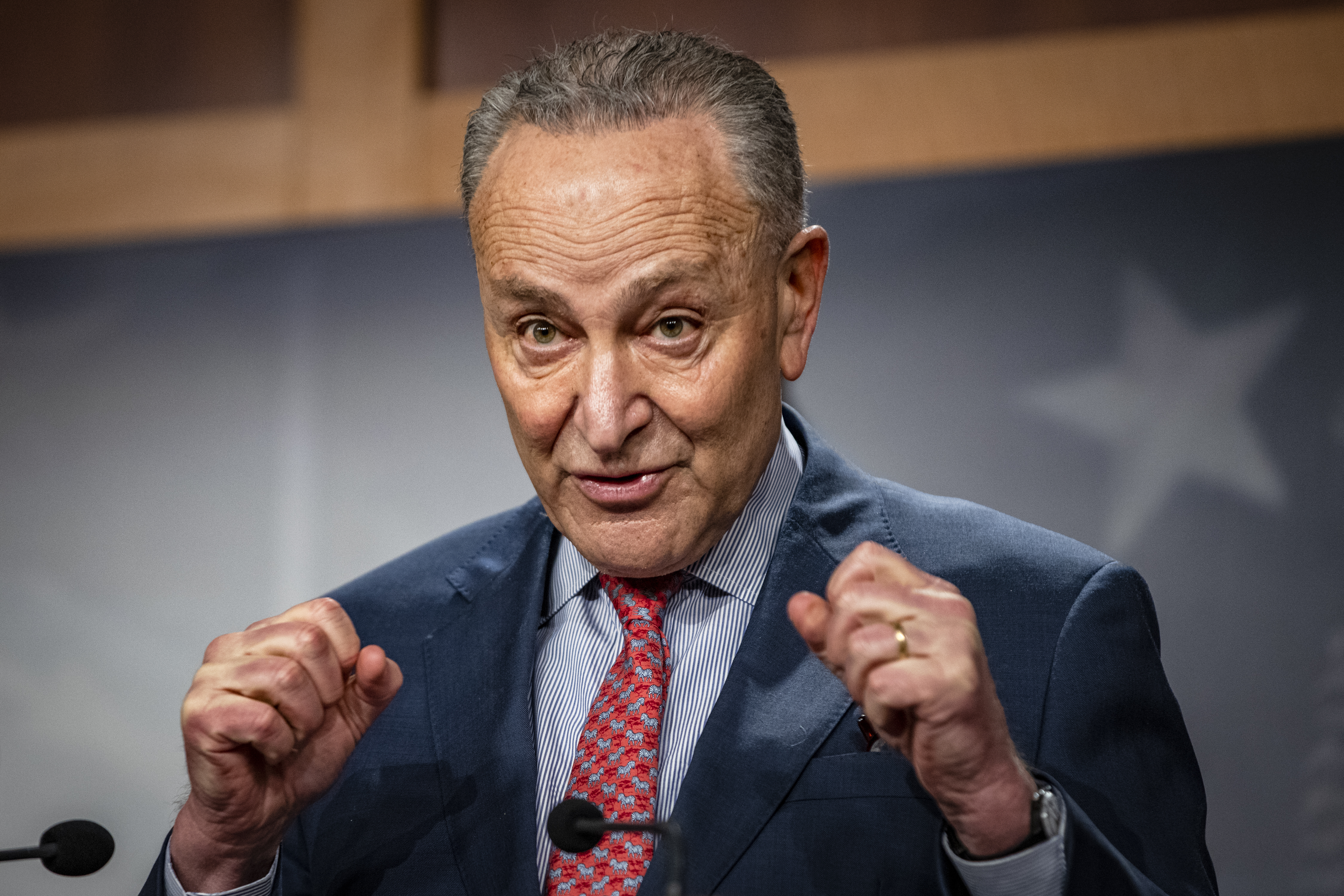 Senate Majority Leader Chuck Schumer, D-N.Y., speaks during a news conference at the Capitol in Washington, Tuesday, March 16, 2021. (Samuel Corum/Pool via AP)