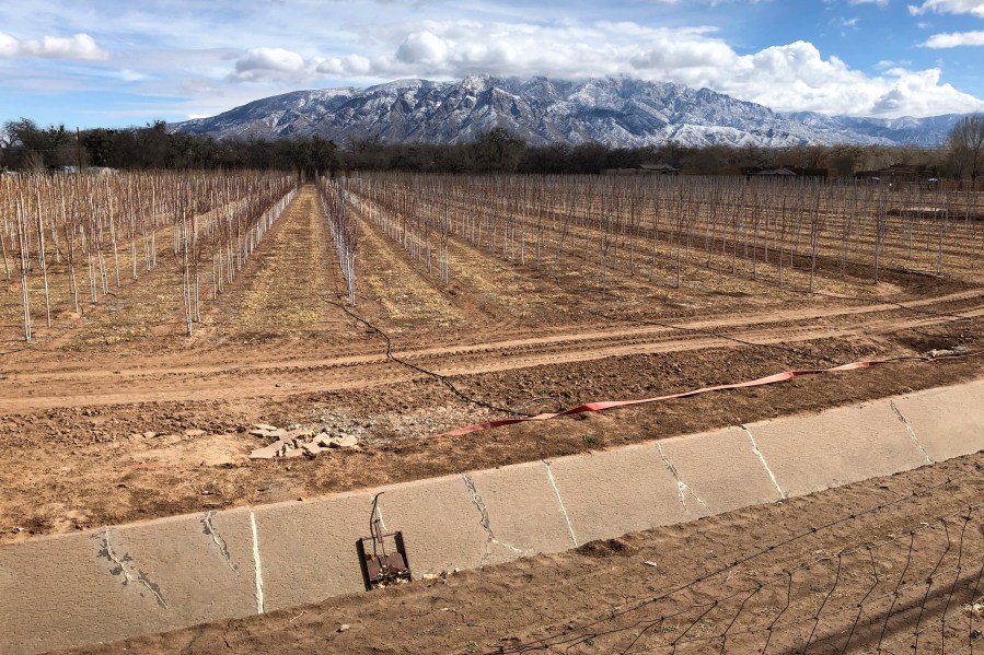 This Feb. 17, 2021 file photo shows an empty irrigation canal at a tree farm in Corrales, N.M., with the Sandia Mountains in the background, as much of the West is mired in drought, with New Mexico, Arizona, Nevada and Utah being among the hardest hit. (AP Photo/Susan Montoya Bryan)