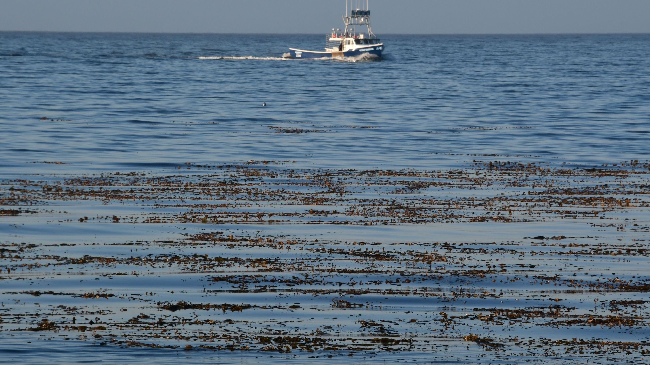 Monterey Bay