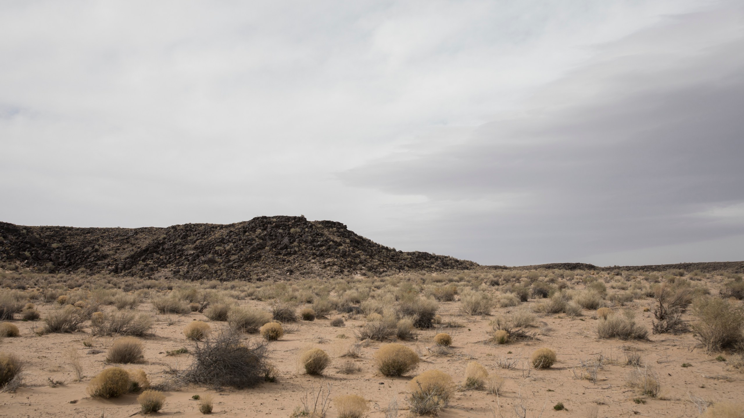 Petroglyph National Monument on April 19, 2018 in Albuquerque, New Mexico. (Adria Malcolm/Getty Images for National Park Foundation)