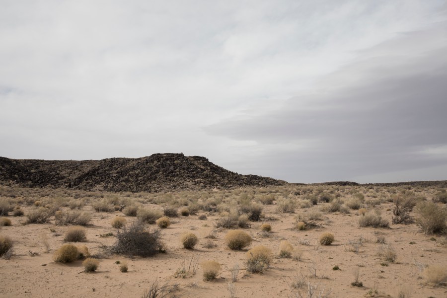 Petroglyph National Monument on April 19, 2018 in Albuquerque, New Mexico. (Adria Malcolm/Getty Images for National Park Foundation)