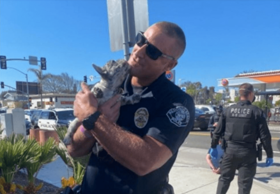 A Redondo Beach officer holds a dog recovered after a robbery on March 12, 2021. (Redondo Beach Police Department)