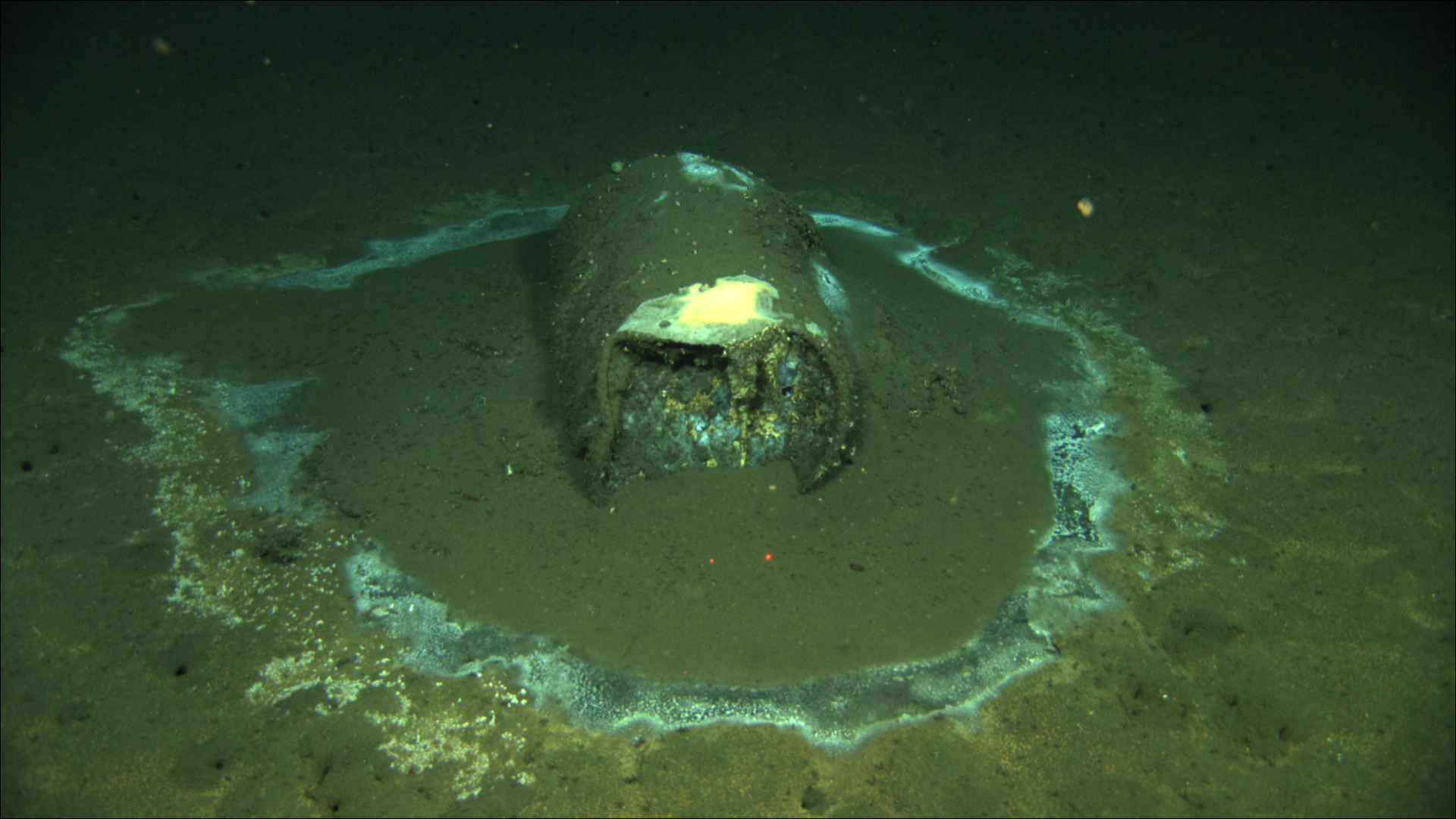 In this 2011 image provided by the University of California Santa Barbara, a barrel sits on the seafloor near the coast of Catalina Island, Calif. Marine scientists say they have found what they believe to be as many as 25,000 barrels that possibly contain DDT dumped off the Southern California coast near Catalina Island. (David Valentine/UC Santa Barbara / RV Jason via AP)