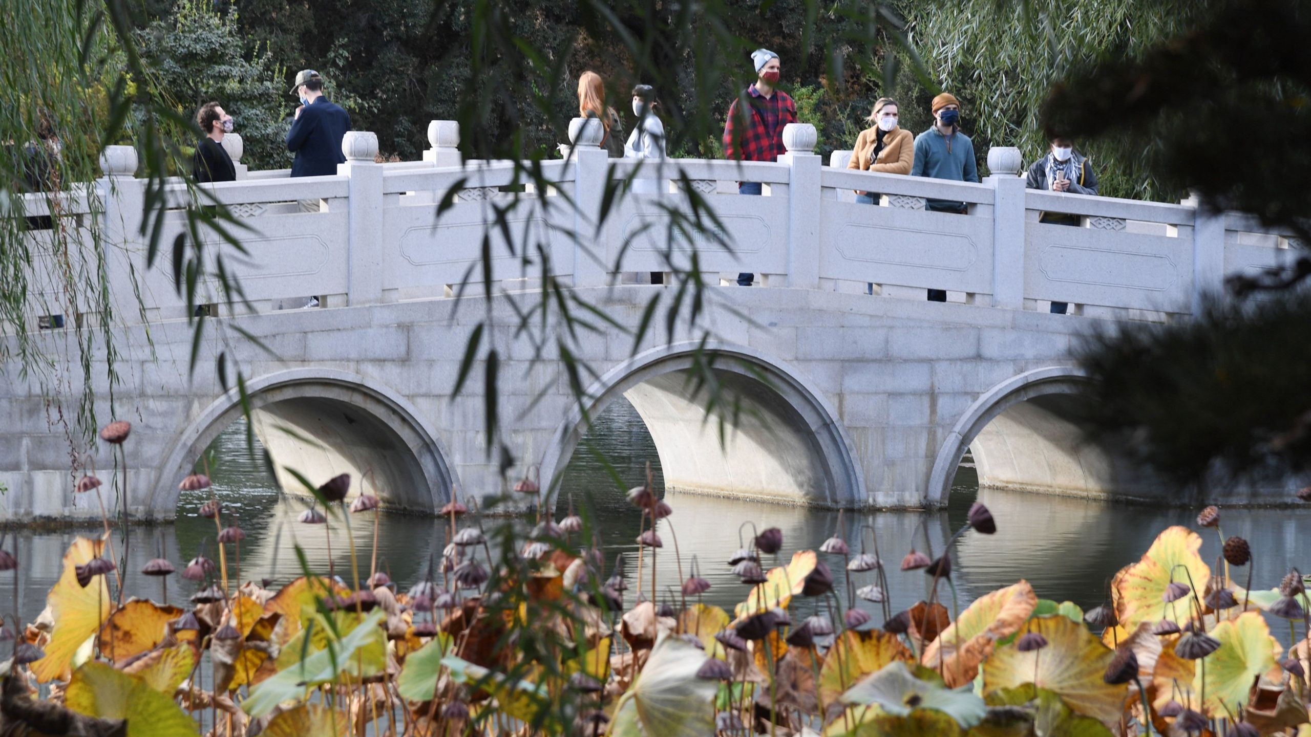 People wearing face covering to prevent the spread of COVID-19 visit the Chinese Garden at The Huntington Library, Art Museum and Botanical Gardens in San Marino on Nov. 7, 2020.(ROBYN BECK/AFP via Getty Images)